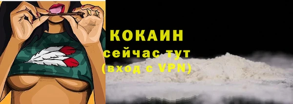 прущие грибы Абдулино