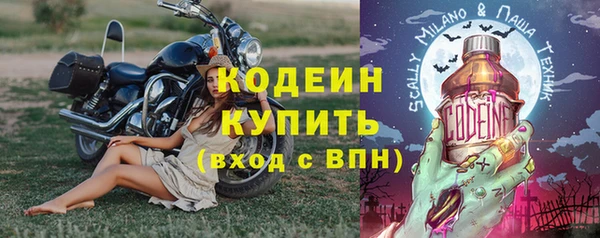 прущие грибы Абдулино
