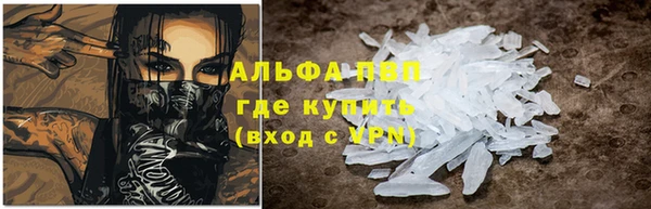 прущие грибы Абдулино