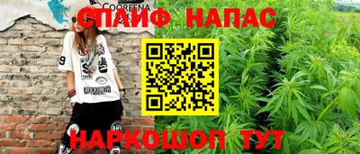 бошки Моздок