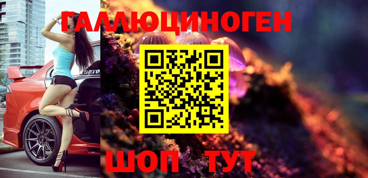 Псилоцибиновые грибы Psilocybine cubensis Ялта