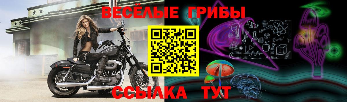Галлюциногенные грибы мухоморы  Вход с VPN  Ялта 